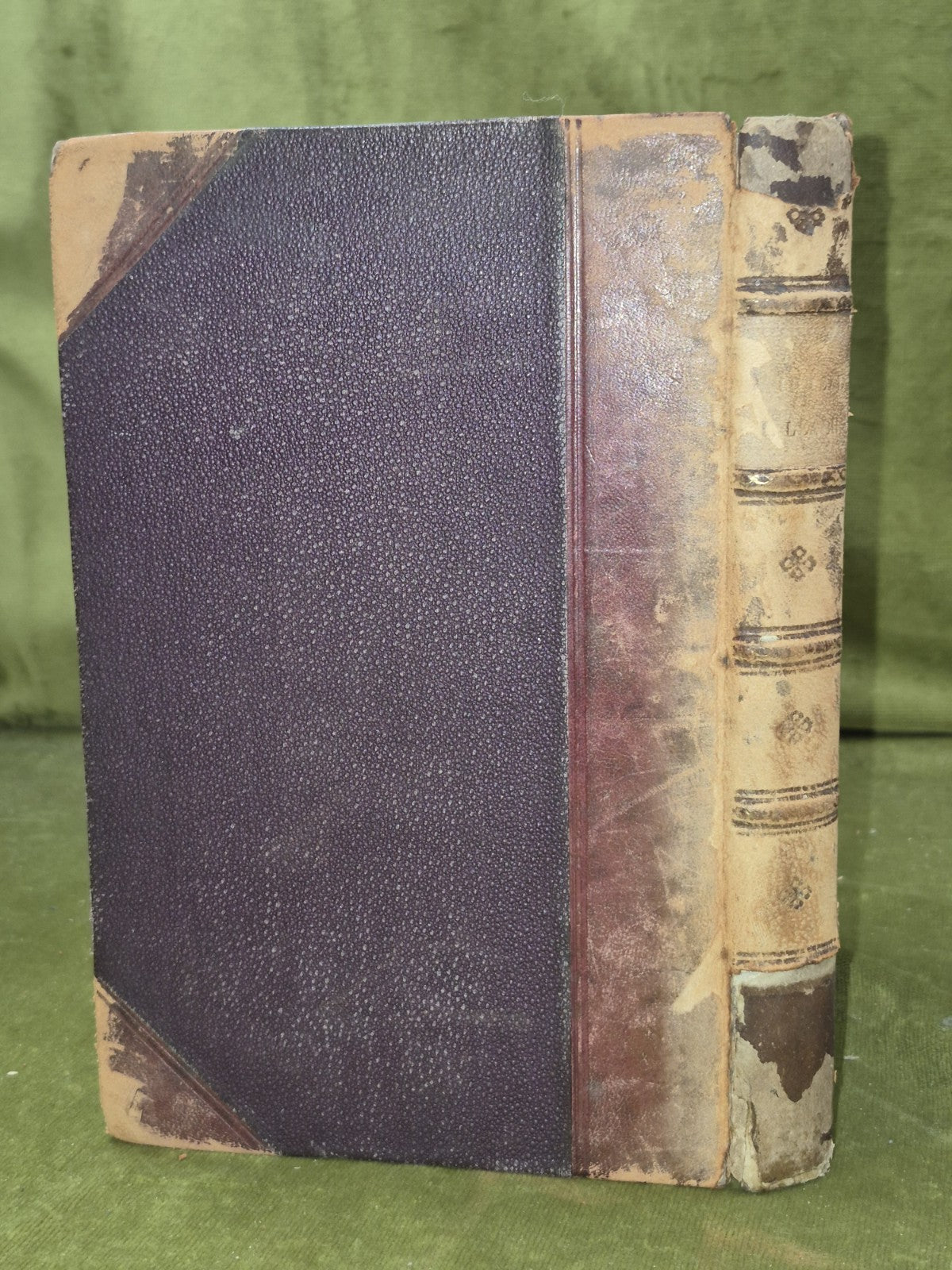 An Gaidheal Paipeir-Naidheachd Leabhar-Sgeoil Gaidhealach 18731