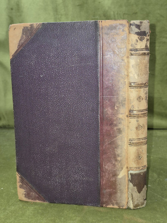 An Gaidheal Paipeir-Naidheachd Leabhar-Sgeoil Gaidhealach 18731