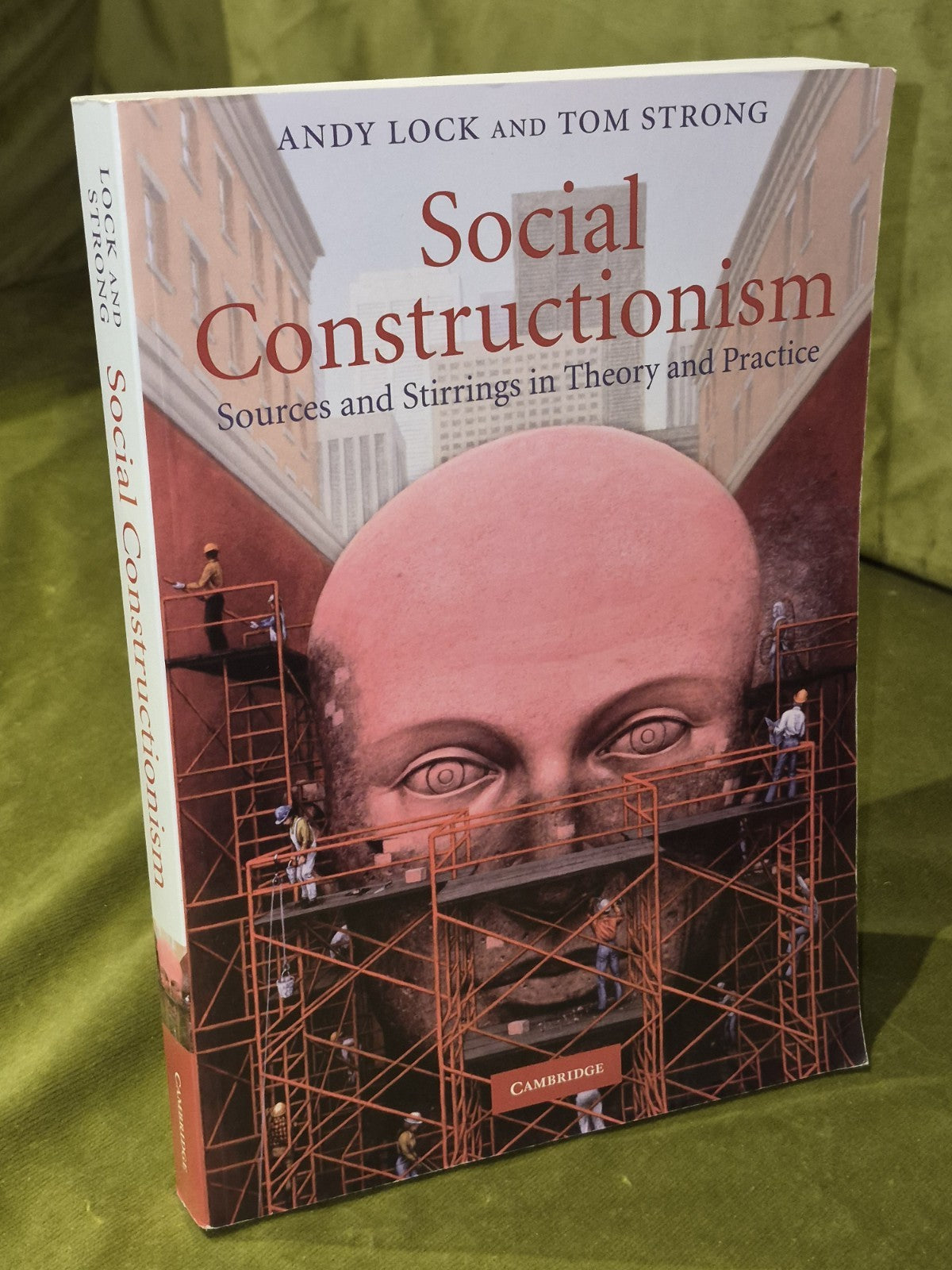 Social Constructionism: Sources and Stirrings (2010 Paperback) Andy  Lock0