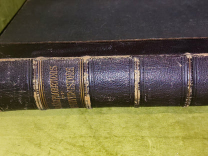 c1880 Life And Explorations Of Dr Livingstone Illustrated Tinted Lithographs2