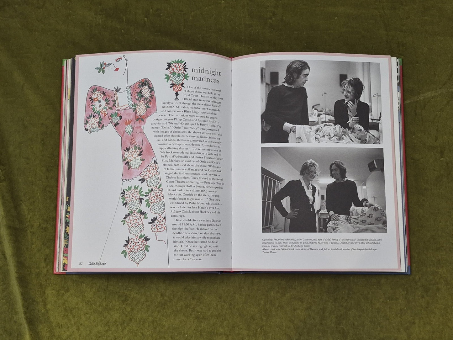 CELIA BIRTWELL - St Martin's Press , Dominic Lutyens 1st 2011 illustrated HC4