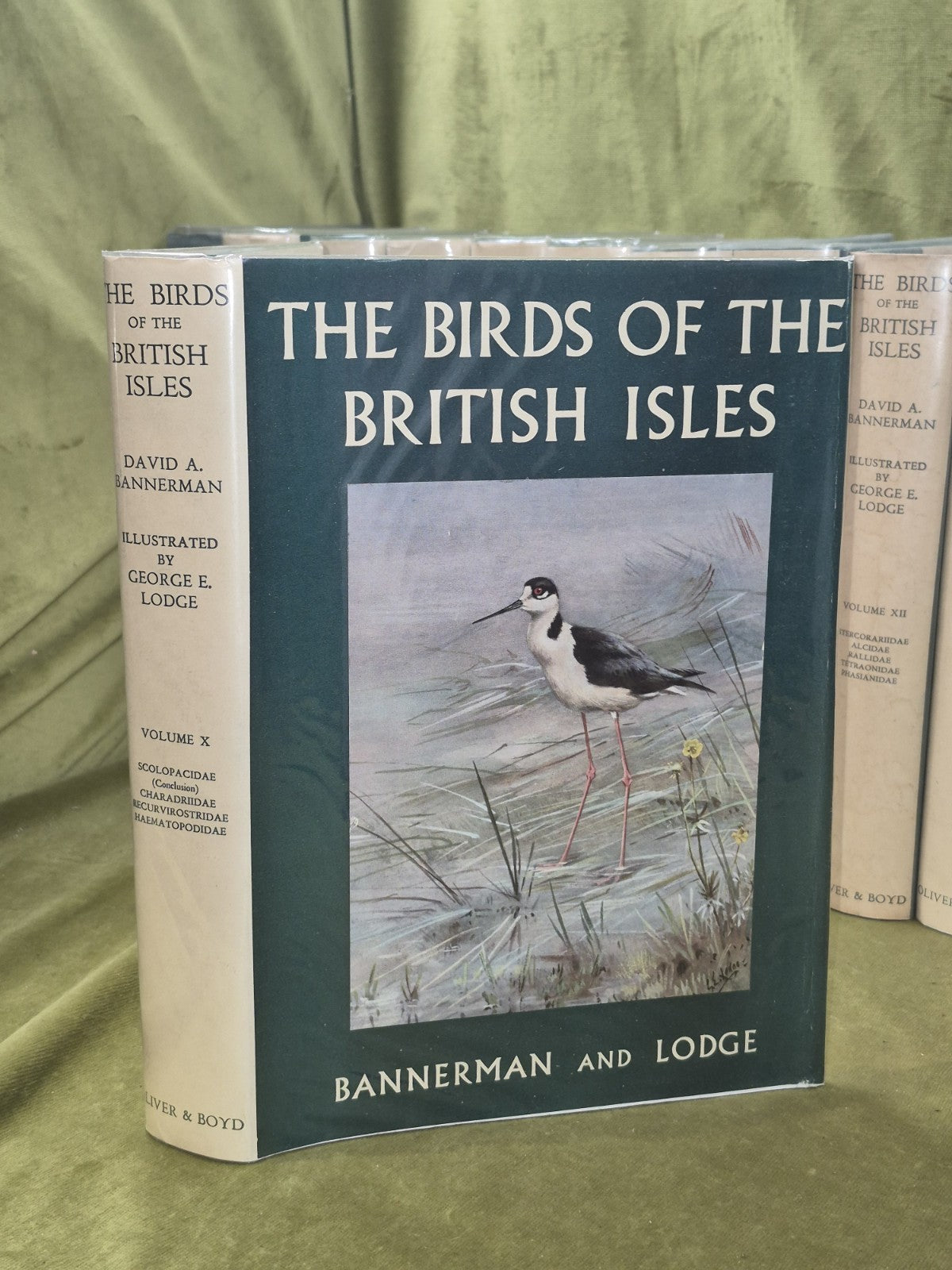 Bannerman The Birds of the British Isles Ornithology  12 Vols 1st Editions DJ11