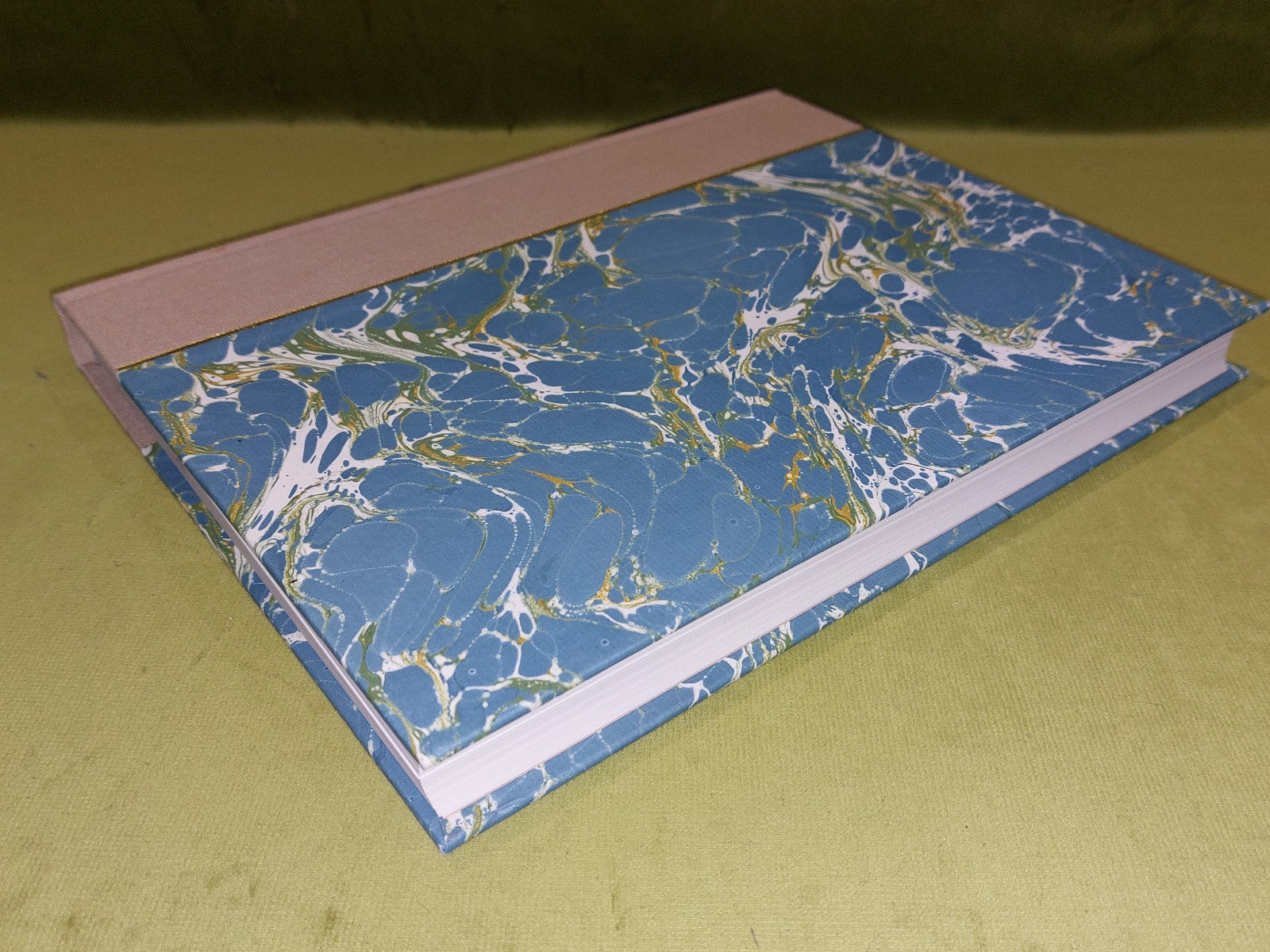 The Great Malaria Problem and its Solution by Ronald Ross (1988)2