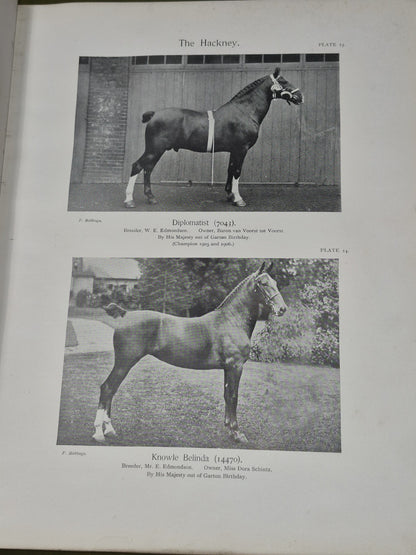 The Horses of the British Empire Humphrey F De Trafford Walter Volume 2.9