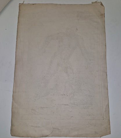 Antique Satirical Political Print. The Orang Outang  The Beast That Violates...7