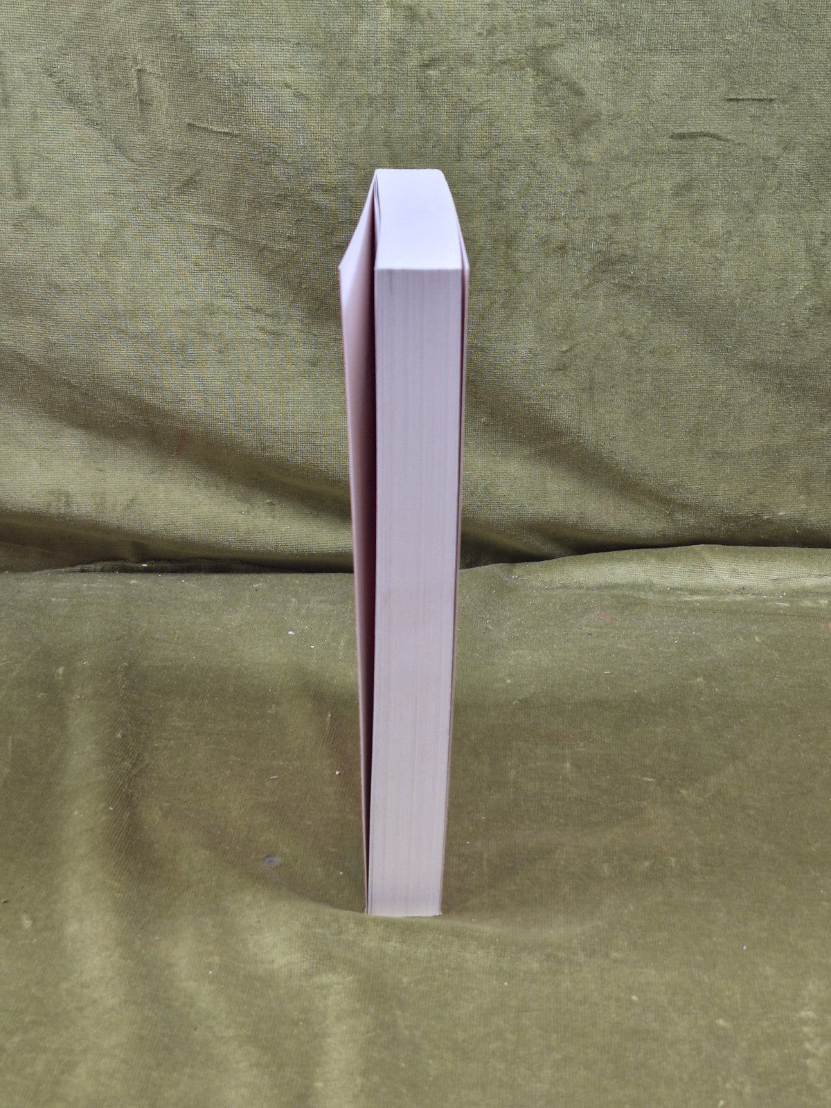 Telling Lies About Hitler by Richard J Evans , Verso 20025