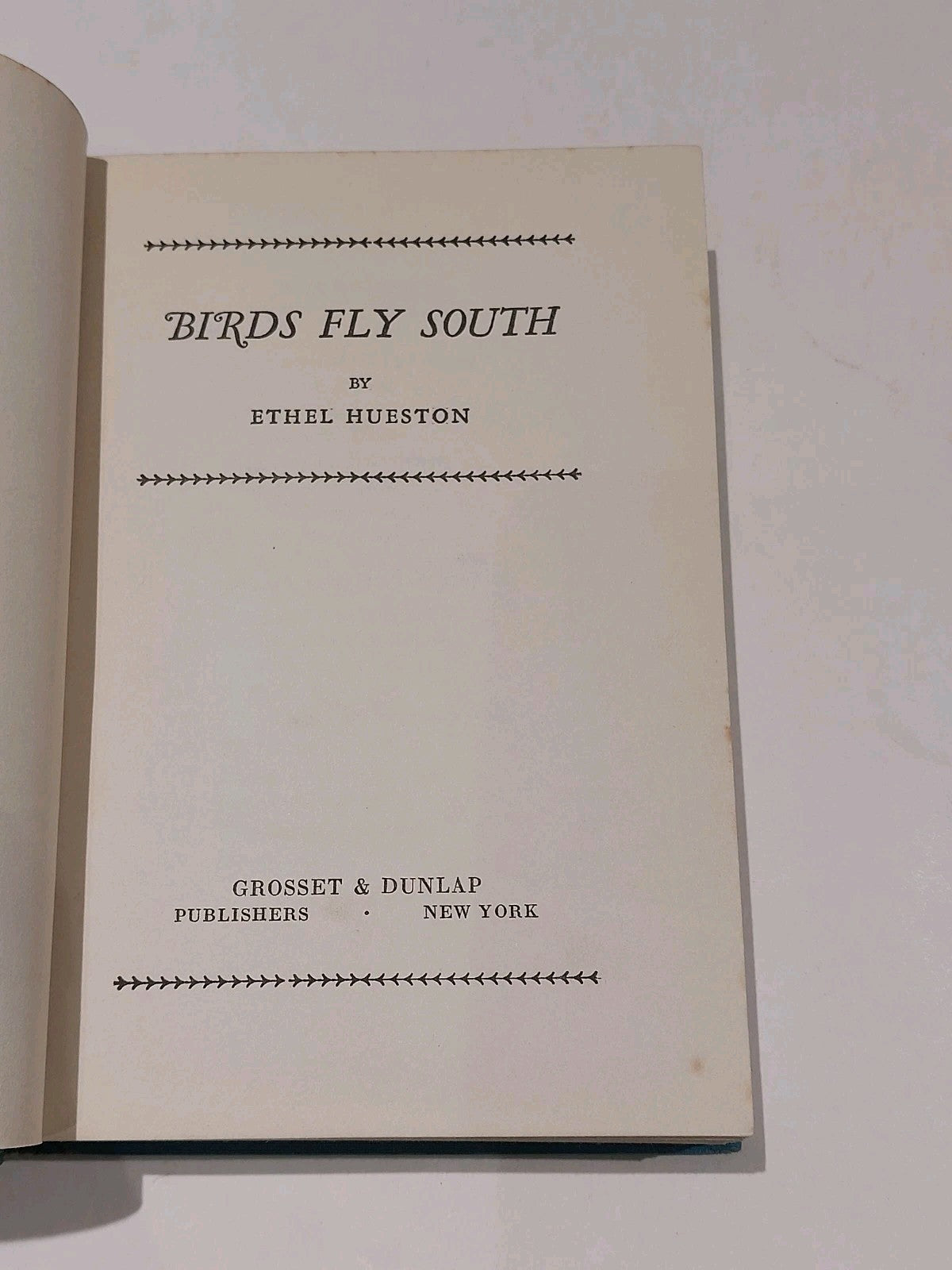 Birds Fly South by Hueston, Ethel 1930 [Grosset & Dunlap] Hb With Dustjacket 4