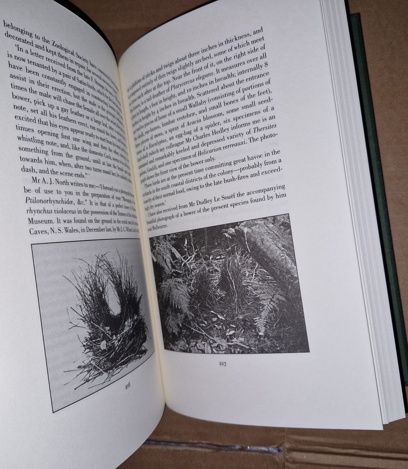 folio society, birds of paradise by Richard Bowdler Sharp, Monograph (The Text) 4