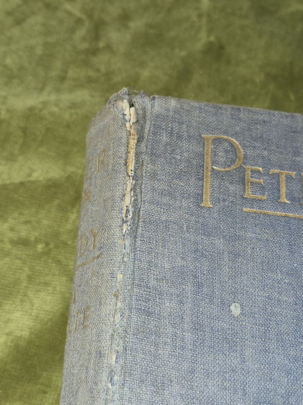 Peter Pan & Wendy By JM Barrie and Illustrations by Gwynedd M Hudson 1930's2