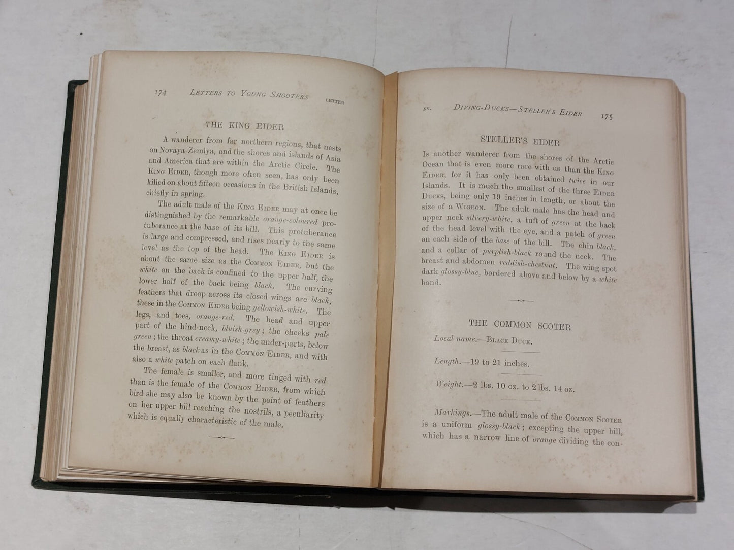 PayneGallwey, Sir Ralph LETTERS TO YOUNG SHOOTERS (THIRD SERIES) SHORT NATURAL5