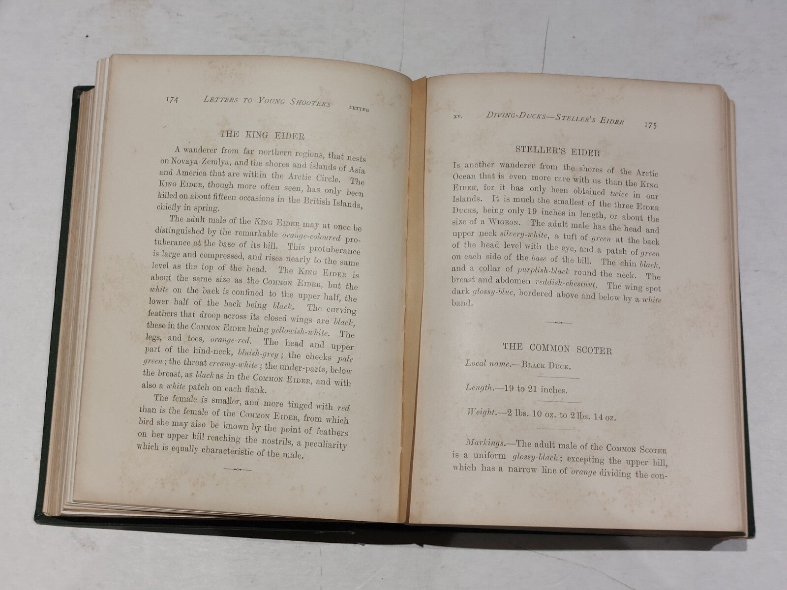 PayneGallwey, Sir Ralph LETTERS TO YOUNG SHOOTERS (THIRD SERIES) SHORT NATURAL5