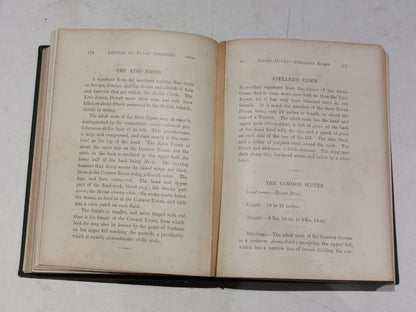PayneGallwey, Sir Ralph LETTERS TO YOUNG SHOOTERS (THIRD SERIES) SHORT NATURAL5