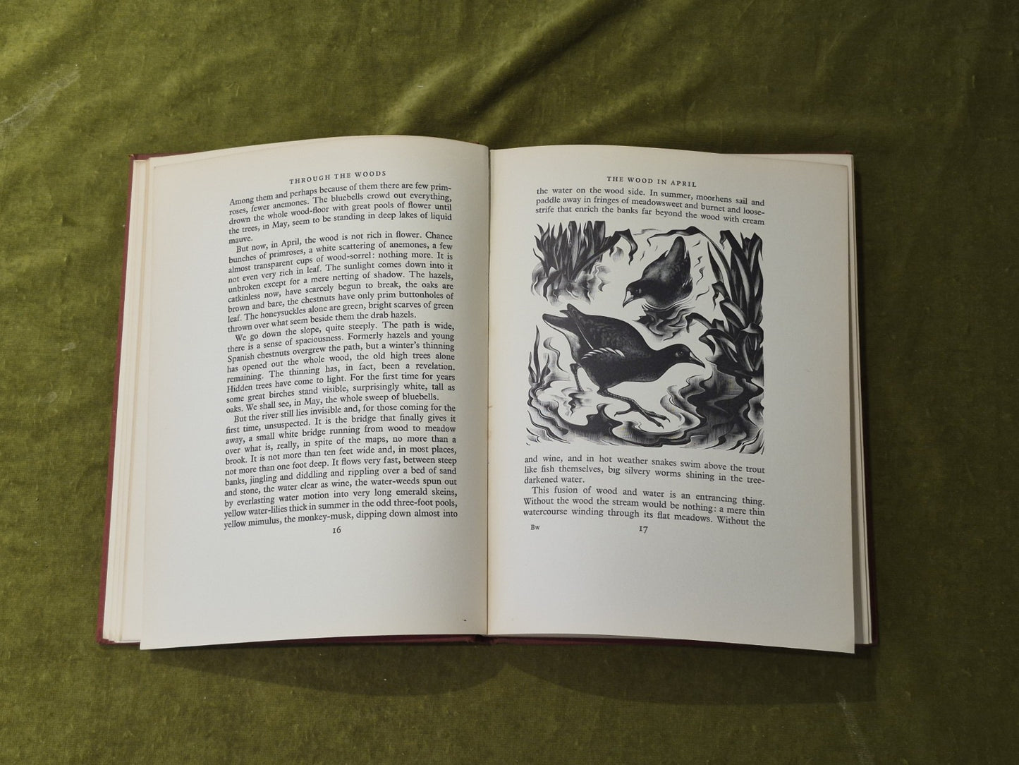 Through the Woods the English Woodland - H E Bates , Gollancz 1936 1st HB7