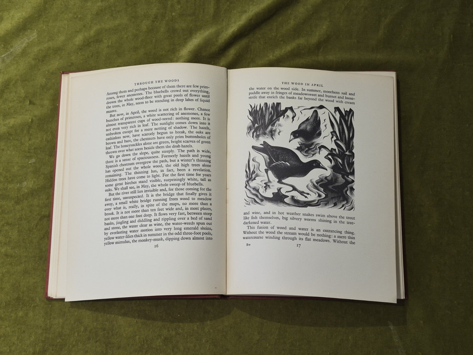 Through the Woods the English Woodland - H E Bates , Gollancz 1936 1st HB7