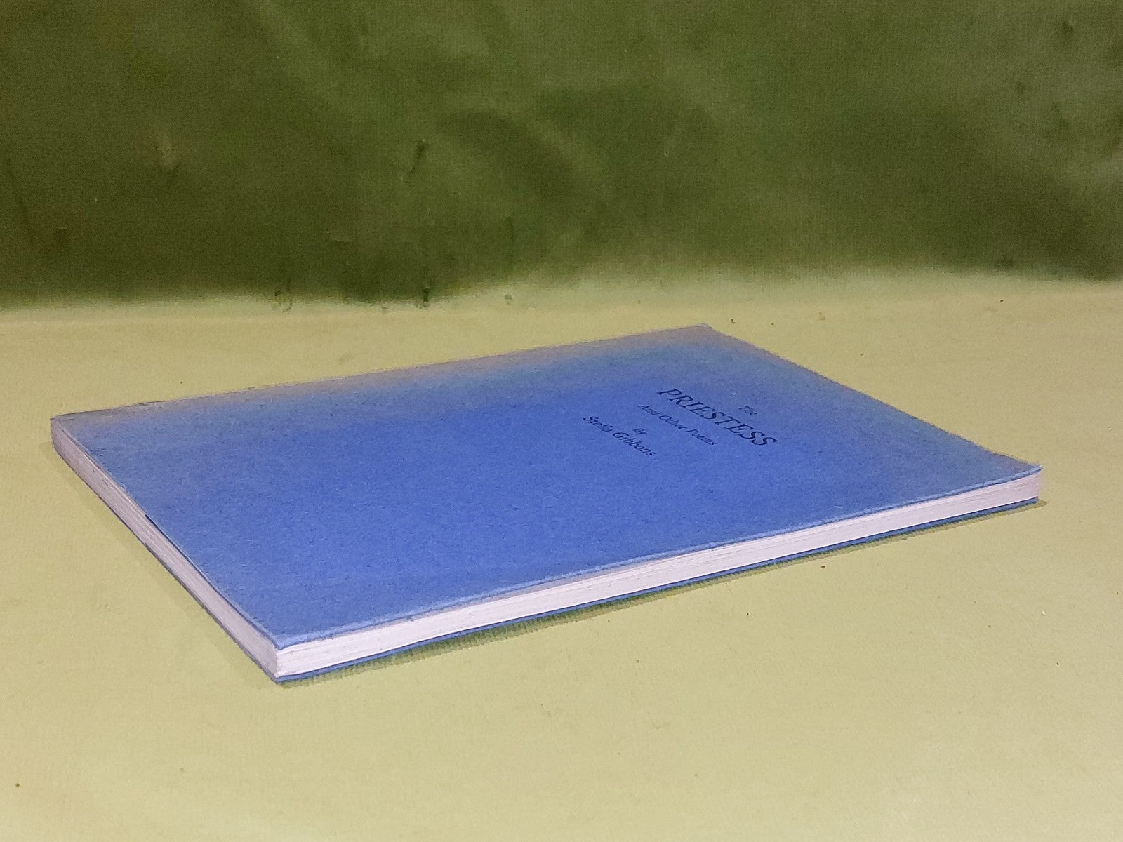 The Priestess and Other Poems Stella Gibbons (1934) 1st Edition Rare Paperback4