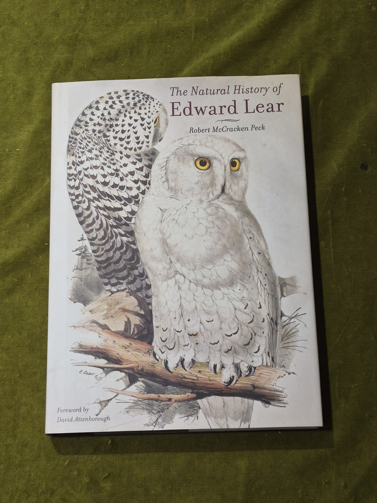 The Natural History of Edward Lear, Peck. 1st Ed 2016 ACC Art - HB DJ Near Fine0