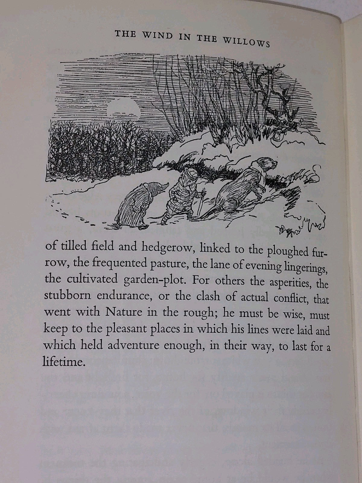 The Wind In The Willows Kenneth Grahame 1st Colour Edition Ernest H Shepard 195911