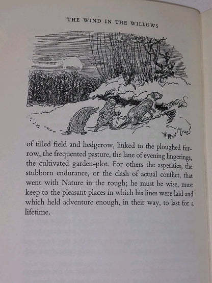 The Wind In The Willows Kenneth Grahame 1st Colour Edition Ernest H Shepard 195911