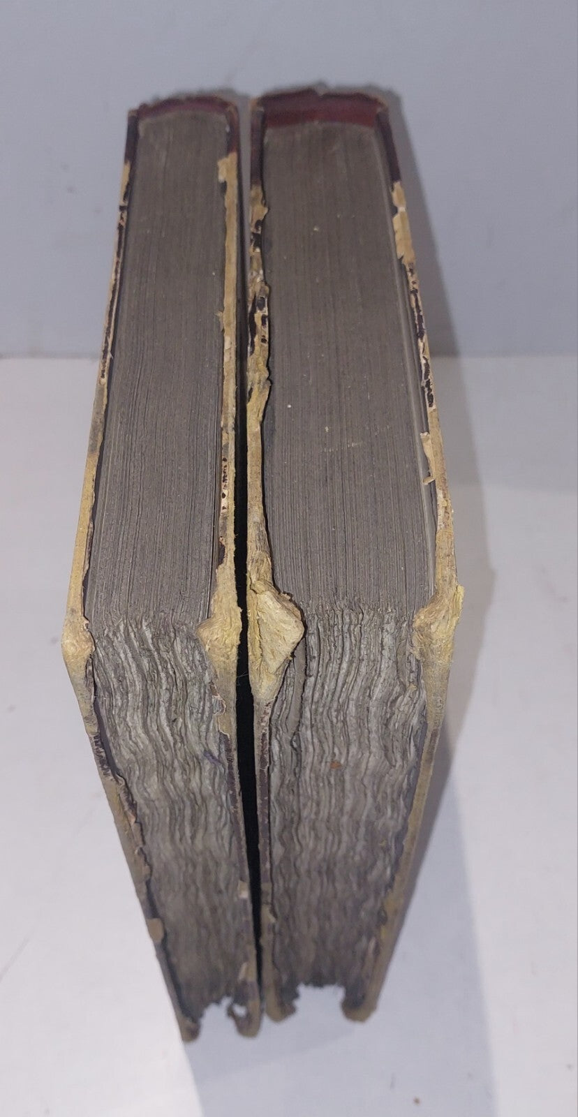 Selections from the Family Papers Preserved at Caldwell (Part II Vol 1&2) 18832