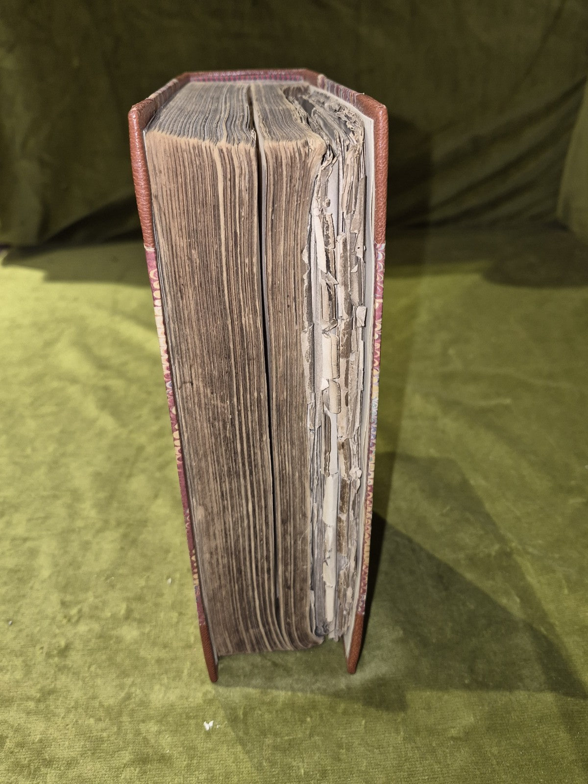 Reed's Engineers' Hand Book by W.H. Thorn, 11th edition 1885 Thomas Reed & Co5