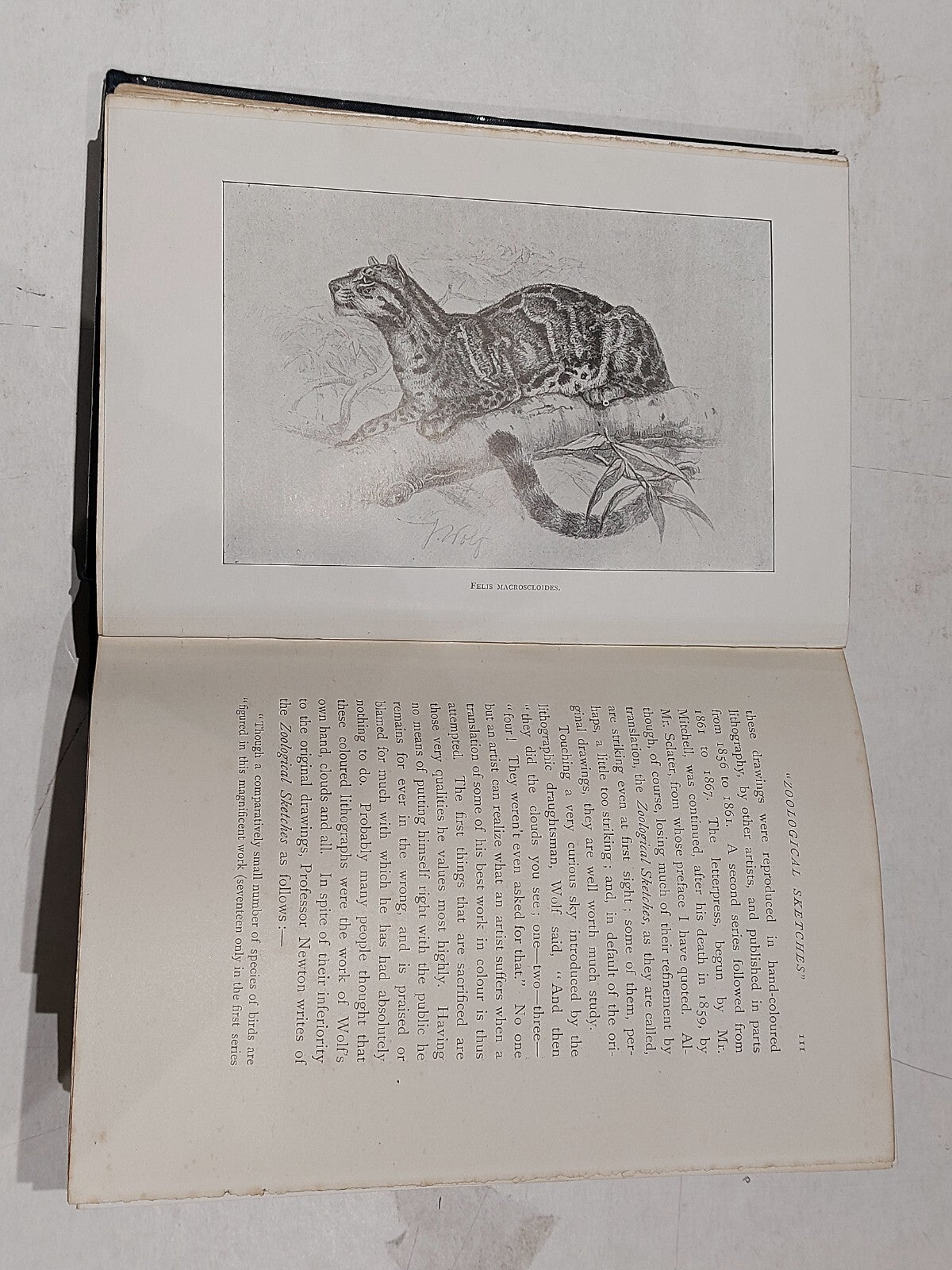 The Life of Joseph Wolf Animal Painter A.H. Palmer Longmans & Co (1895) Hb Book4