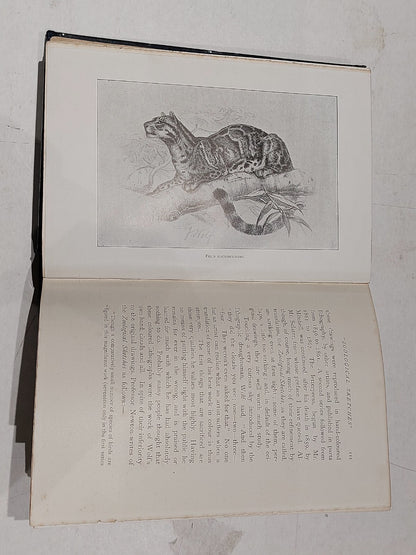 The Life of Joseph Wolf Animal Painter A.H. Palmer Longmans & Co (1895) Hb Book4