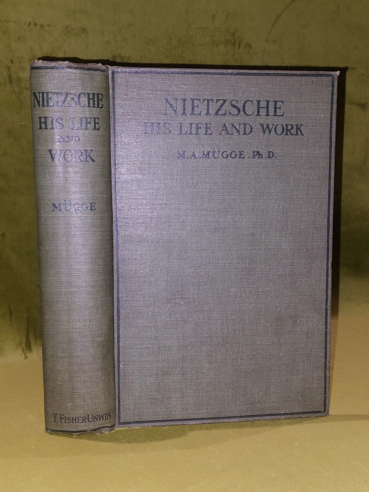 Friedrich Nietzsche, His Life and Work by Mugge (1914)0