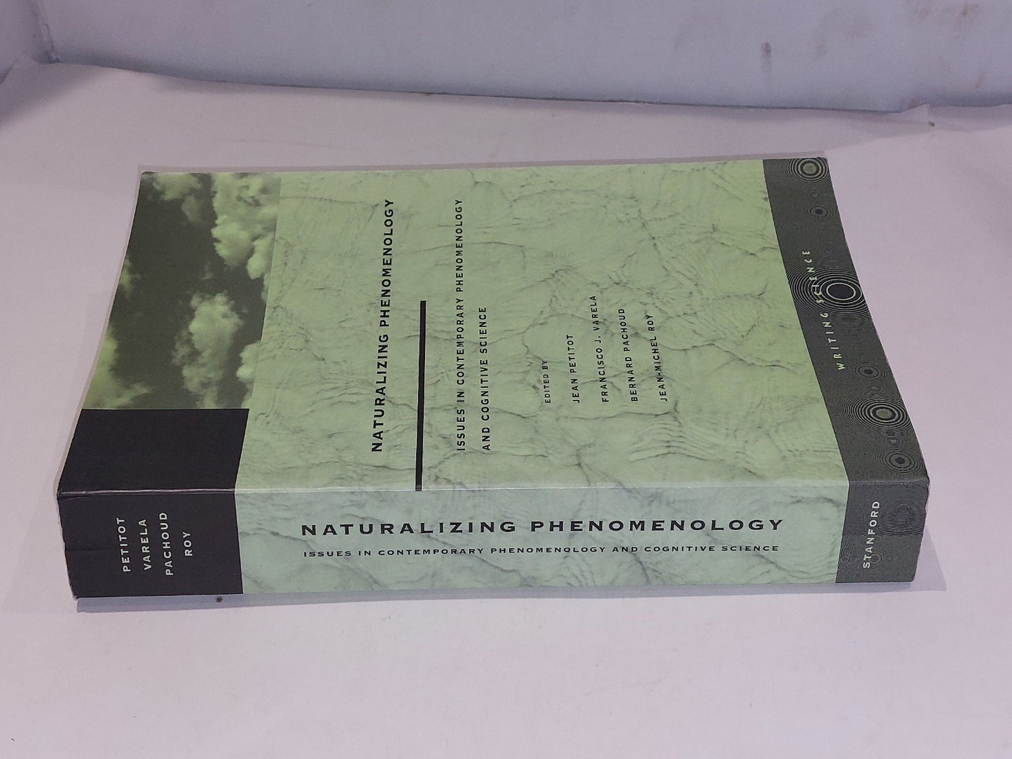 Naturalizing Phenomenology : Contemporary Phenomenology & Cognitive Science 19991