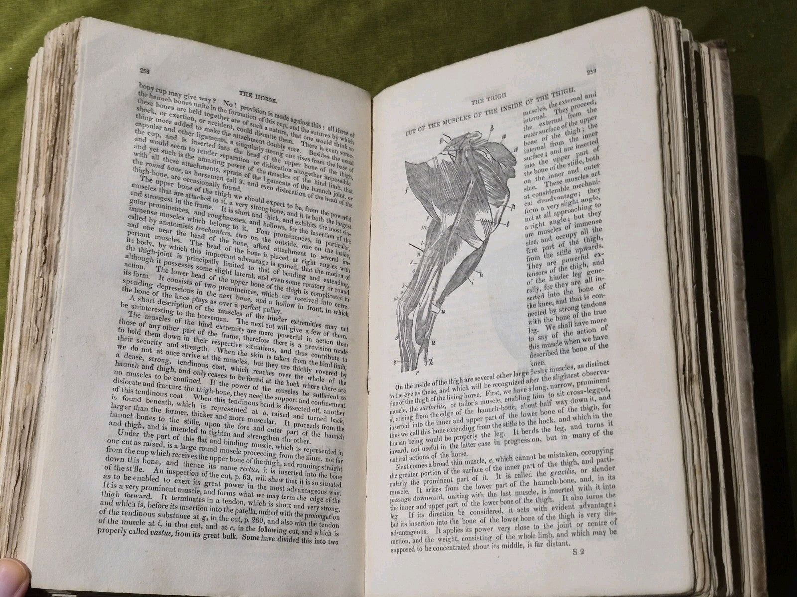 Library of Useful Knowledge: The Horse with a Treatise on Draught 18377