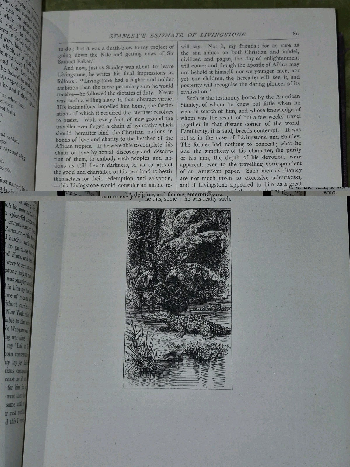 The Pictorial Edition David Livingston Fullarton c1880 Complete Two Volumes13