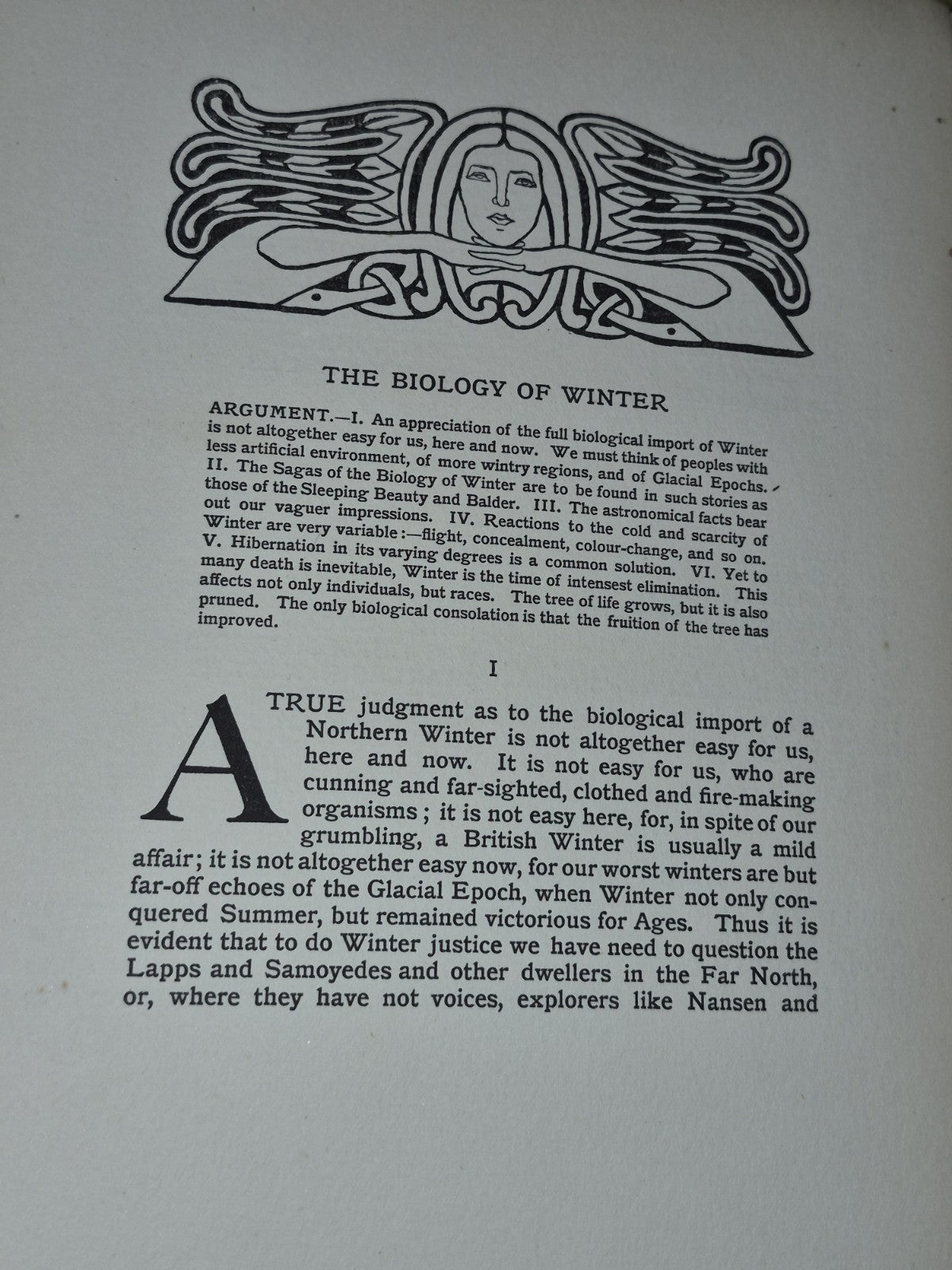 The Evergreen A Northern Seasonal Part IV - Winter 1986-7 Patrick Geddes10