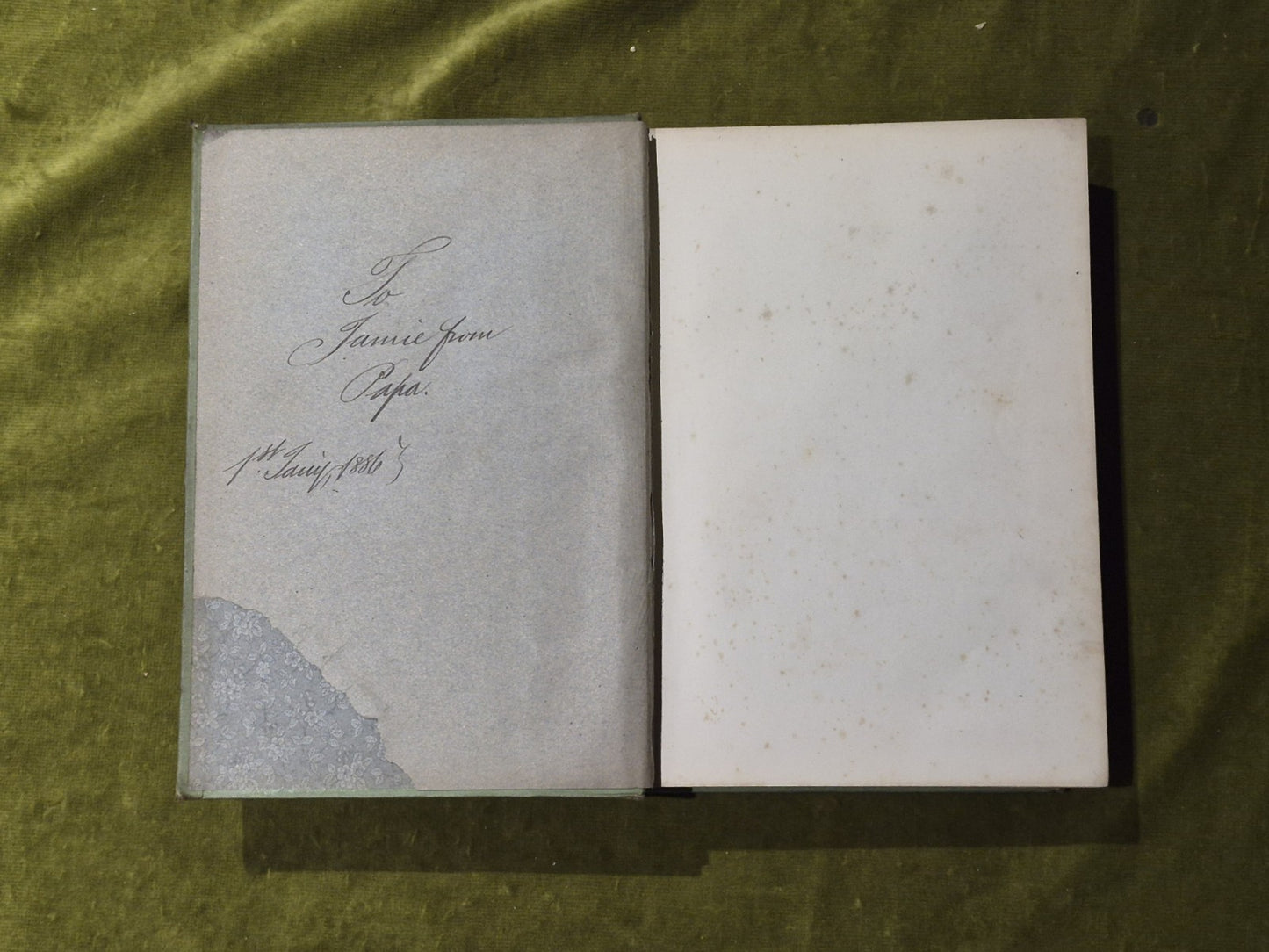 Paul and Virginia - Bernardine Saint Pierre4