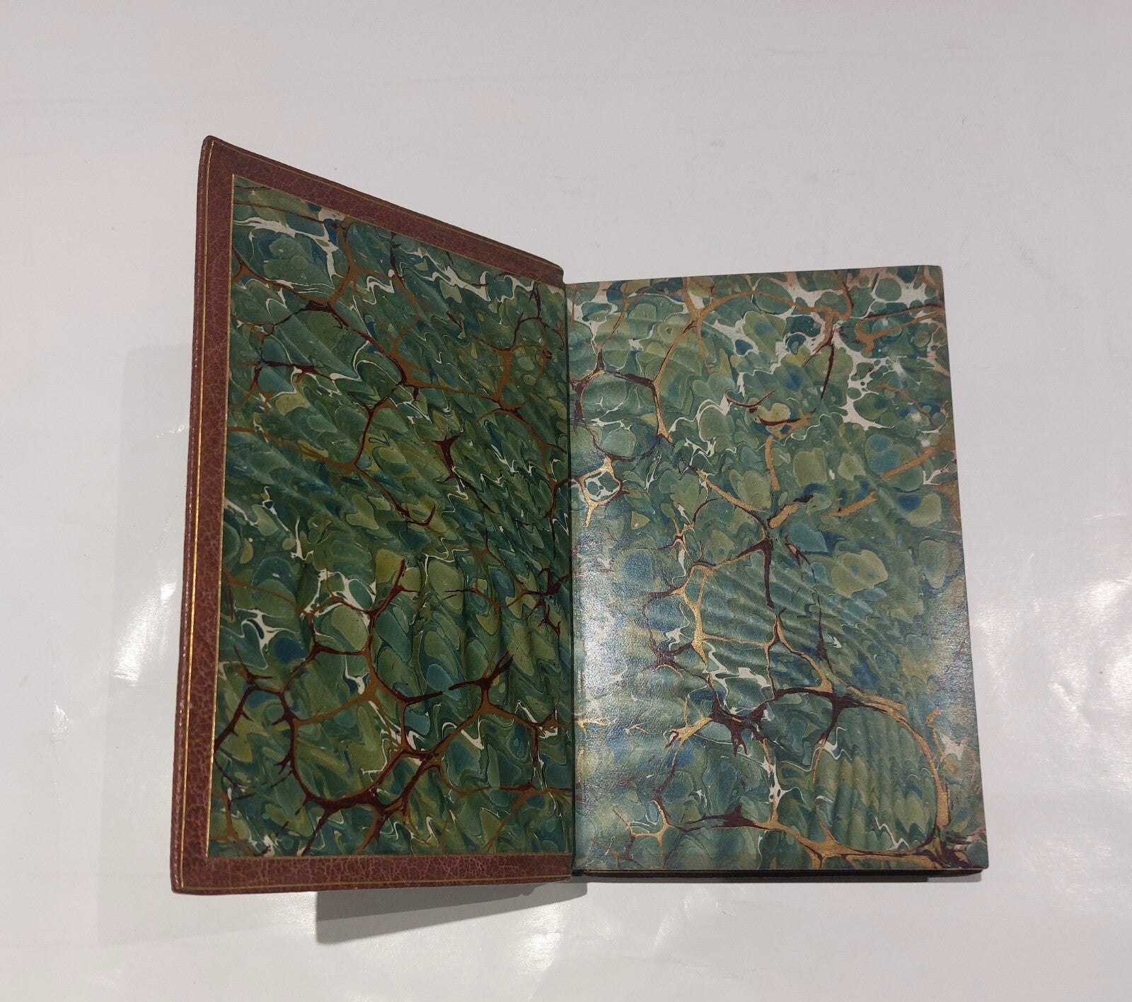 Antiquarian Nightingale Valley, Edited By Giraldus (1860) Leather Bound Book4