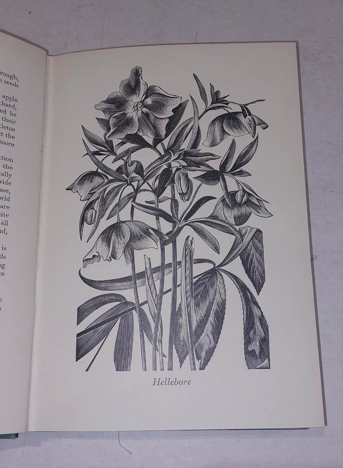 A Country Garden By Ethel Armitage. Engraved By John Farleigh, 1936 1st Edition.5