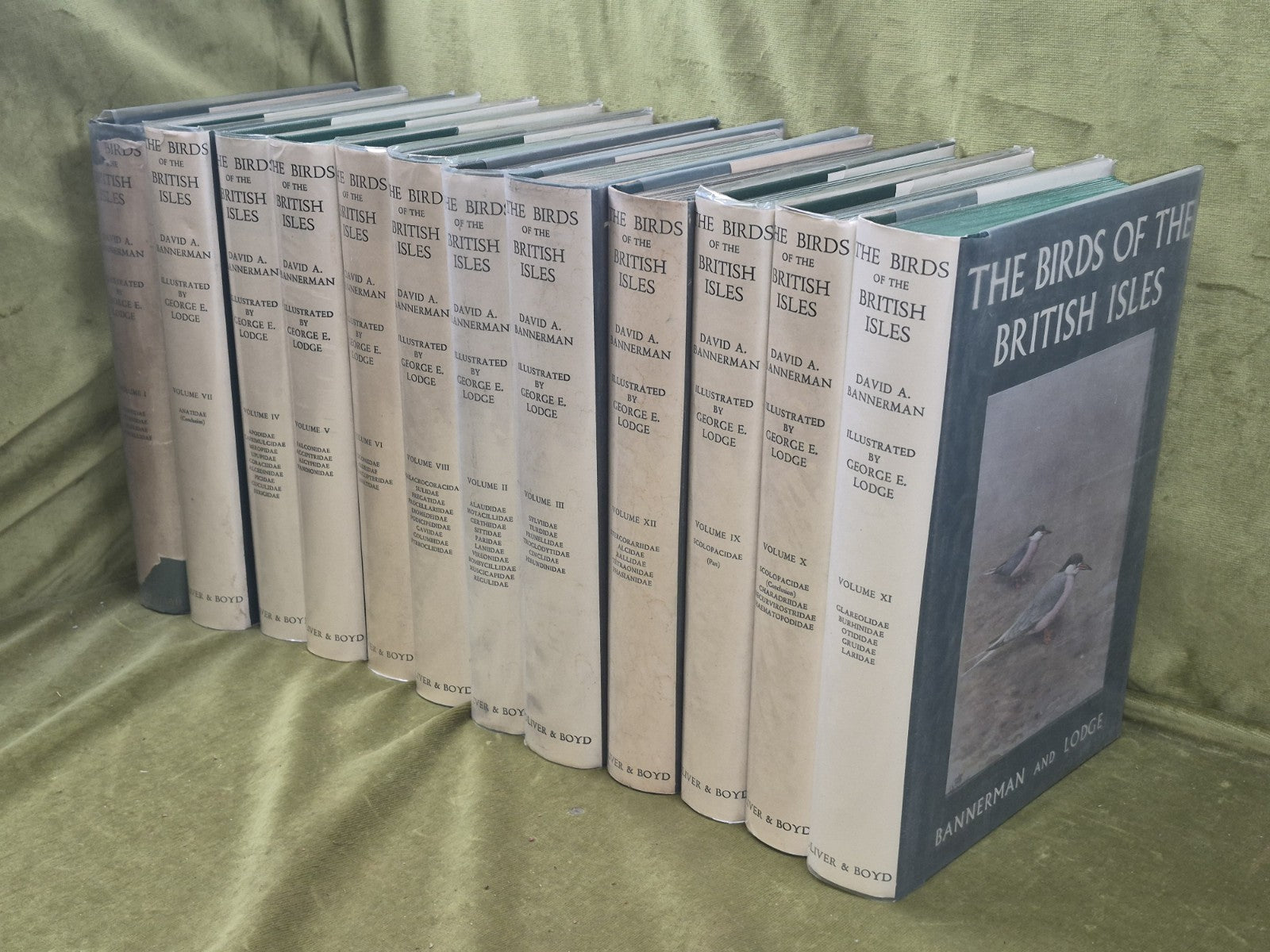Bannerman The Birds of the British Isles Ornithology  12 Vols 1st Editions DJ1