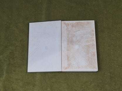 Song Histories by Robert Ford , William Hodge 1900 1st HB3