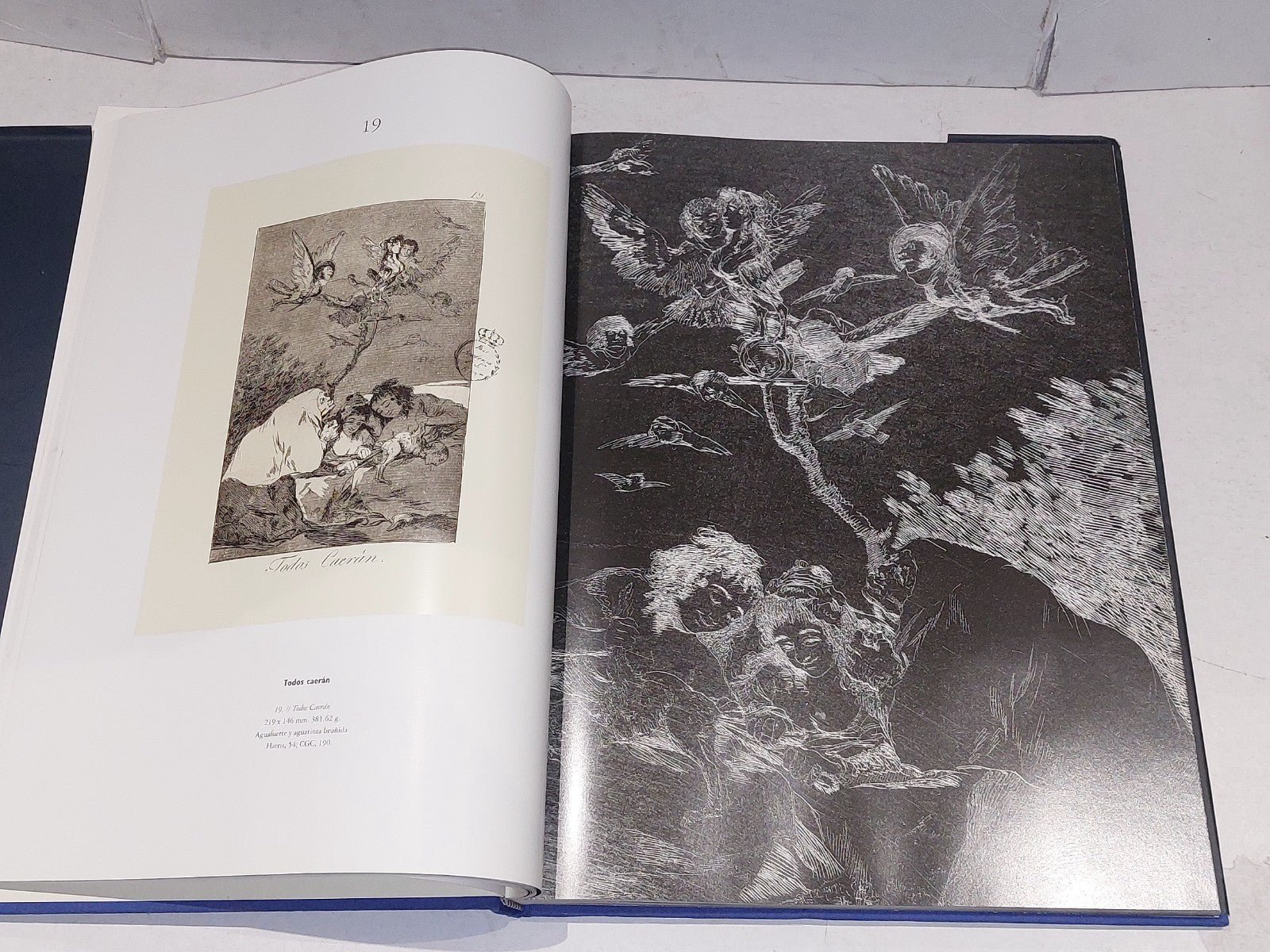 francisco de goya  grabador  instantaneas  caprichos (1992) madrid hb book7