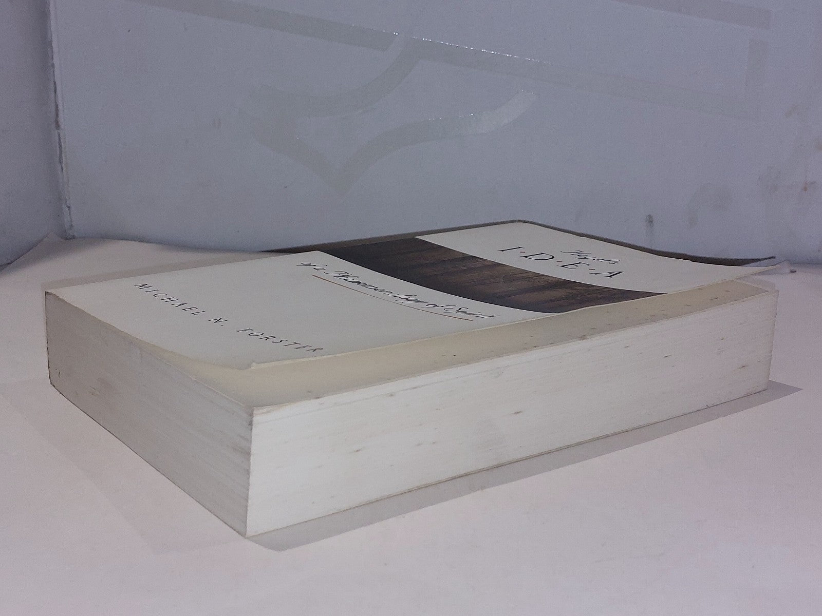 Hegel's Idea of a Phenomenology of Spirit by Michael Forster (1998) Pb3