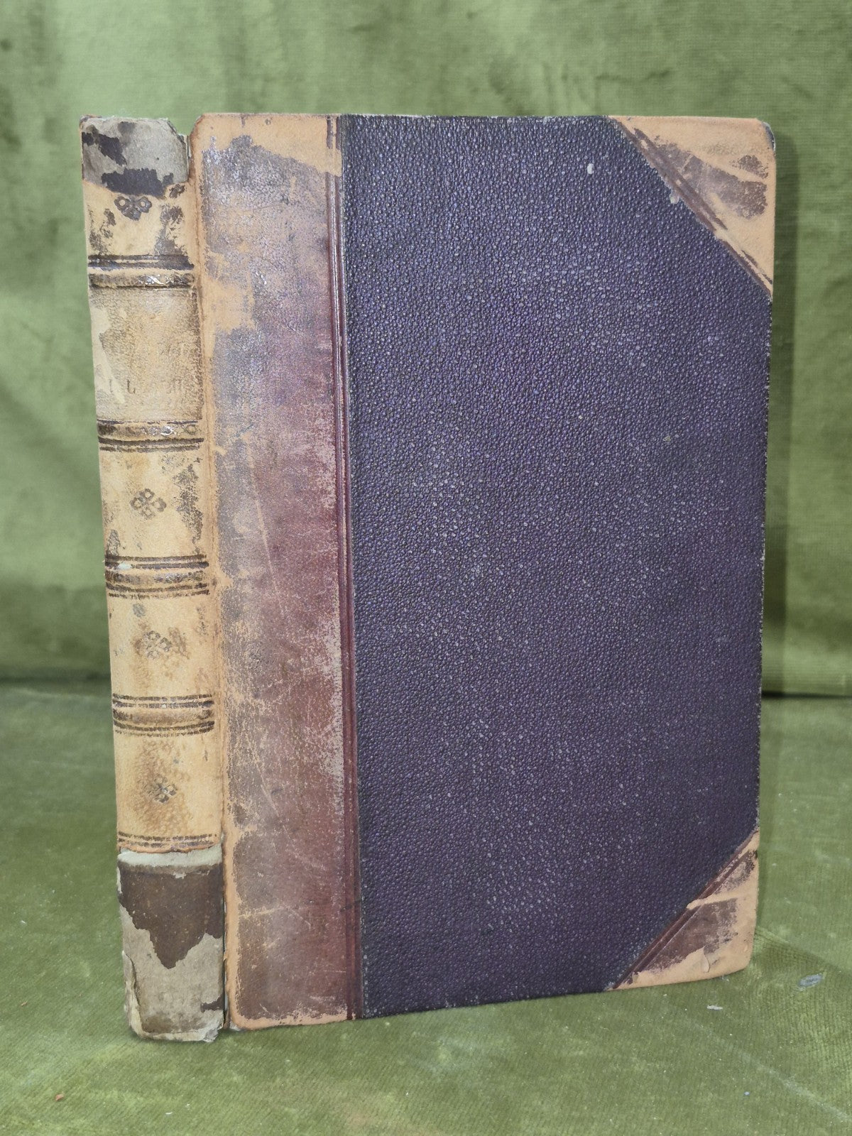 An Gaidheal Paipeir-Naidheachd Leabhar-Sgeoil Gaidhealach 18730