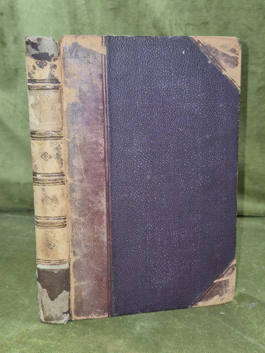 An Gaidheal Paipeir-Naidheachd Leabhar-Sgeoil Gaidhealach 18730