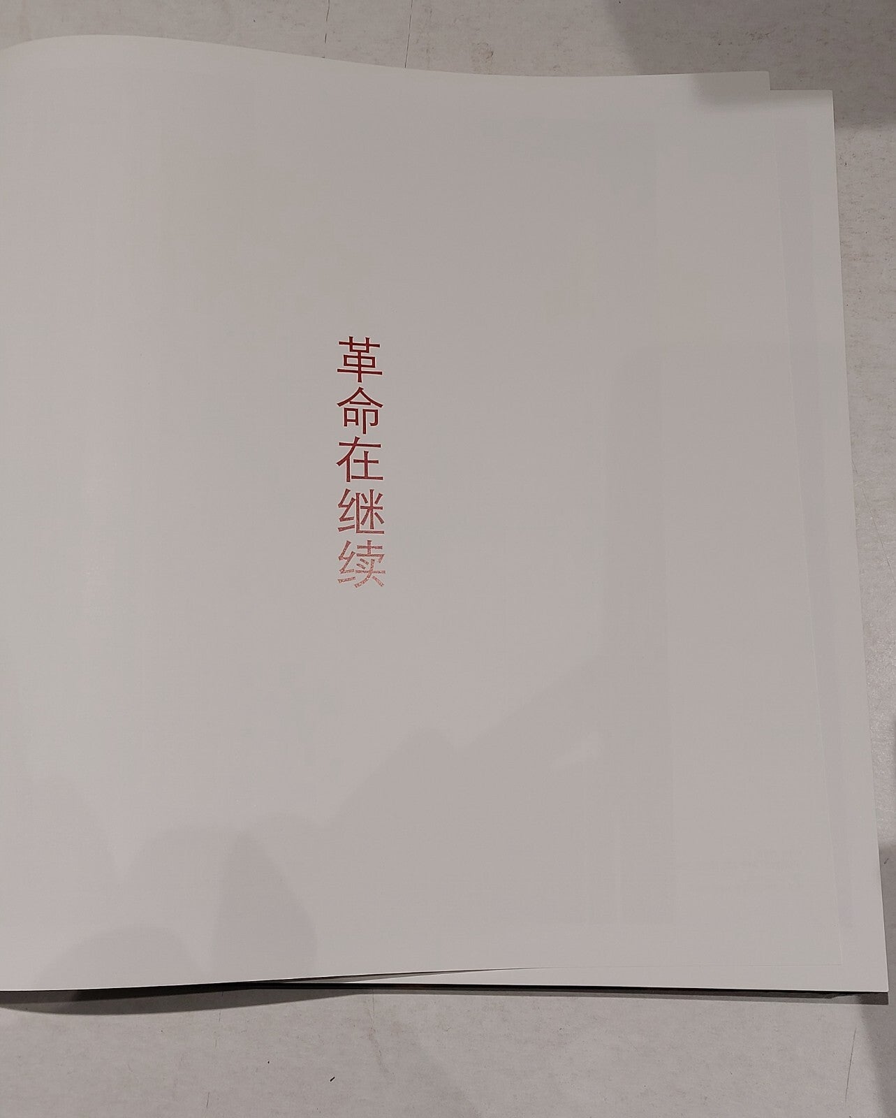The Revolution Continues: New Art from China, The Saatchi Gallery (2008) 1st Ed2
