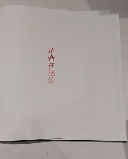 The Revolution Continues: New Art from China, The Saatchi Gallery (2008) 1st Ed2
