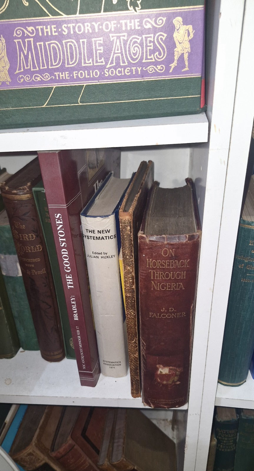 1911 On Horseback Through Nigeria  Folding Map 1st Edition Illustrated.16