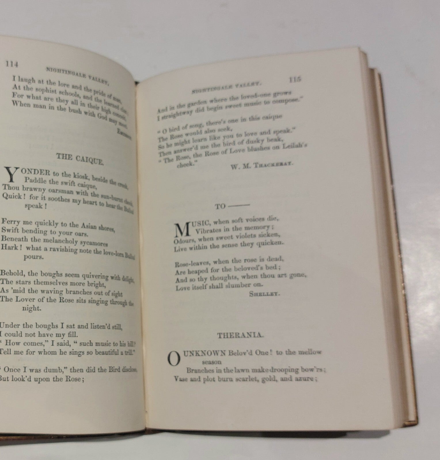 Antiquarian Nightingale Valley, Edited By Giraldus (1860) Leather Bound Book9