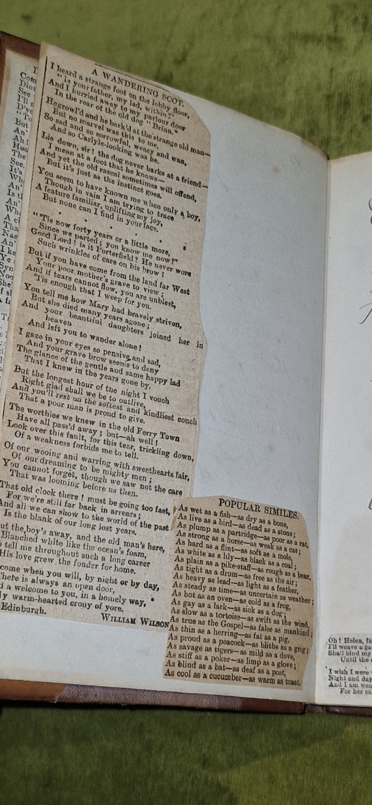 Factory Girl or the Dark Places of Glasgow (1868) by David Pae pub. John Menzies5