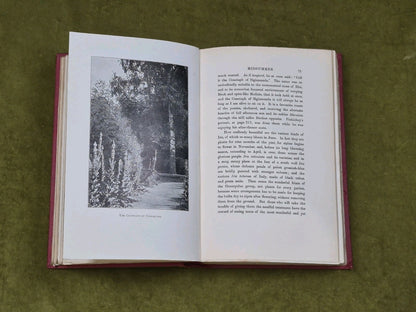 HOME AND GARDEN - Gertrude Jekyll , Longmans 1910 HB7