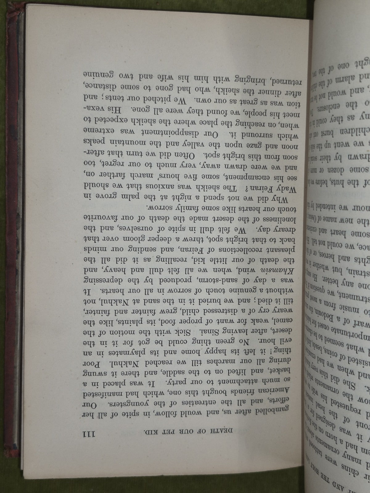 The Desert and the Holy Land 1868 Alexander Wallace William Oliphant 8