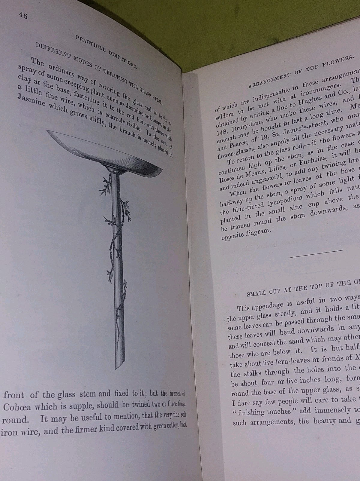 Flower And Fruit Decoration By T C March (1862) [Harrison] Book7