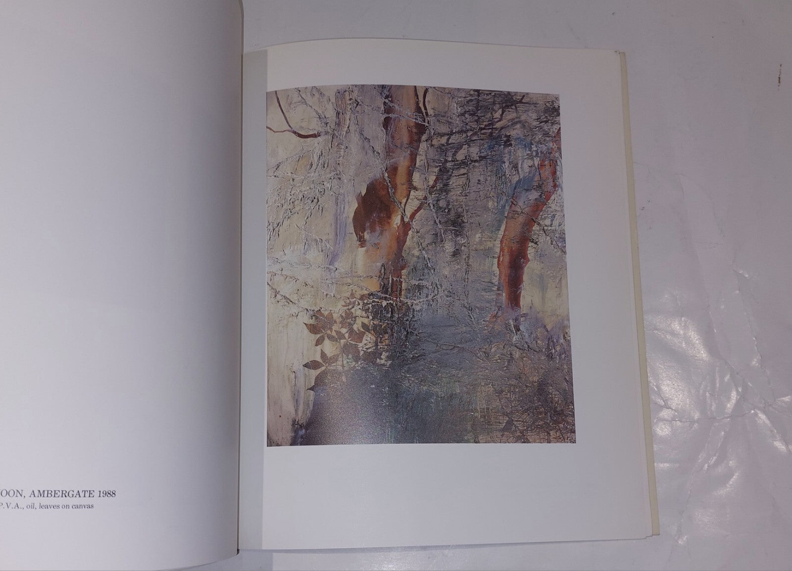 Derbyshire Woods, Michael Porter, Fabian Carlsson Gallery (1988) Book2