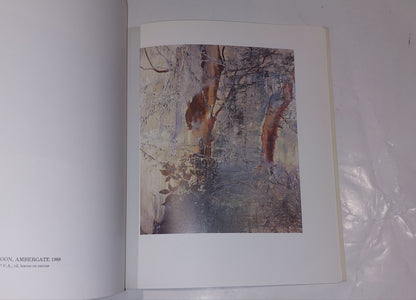 Derbyshire Woods, Michael Porter, Fabian Carlsson Gallery (1988) Book2